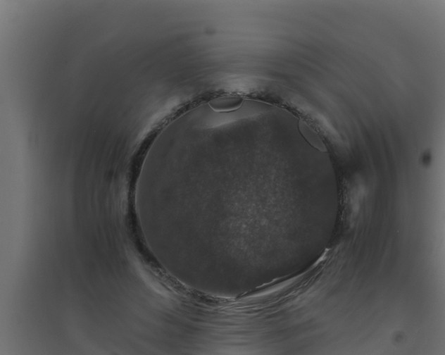X0000094820496200711241511