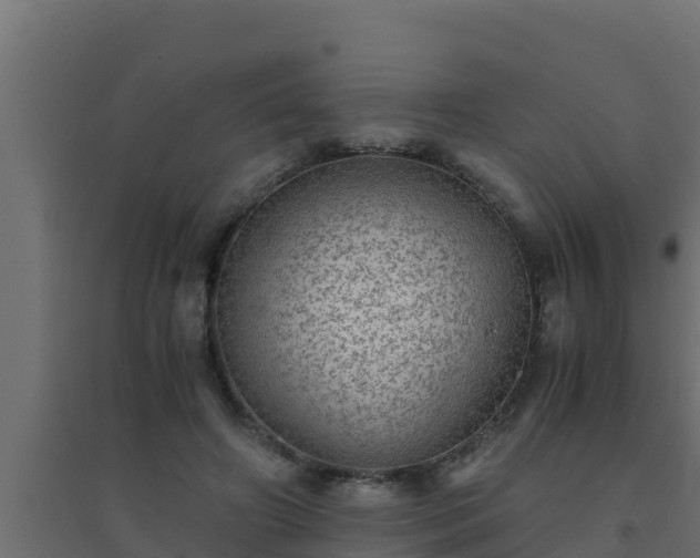 X0000094820498200711241511