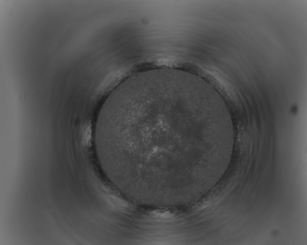 X0000094820502200711241511