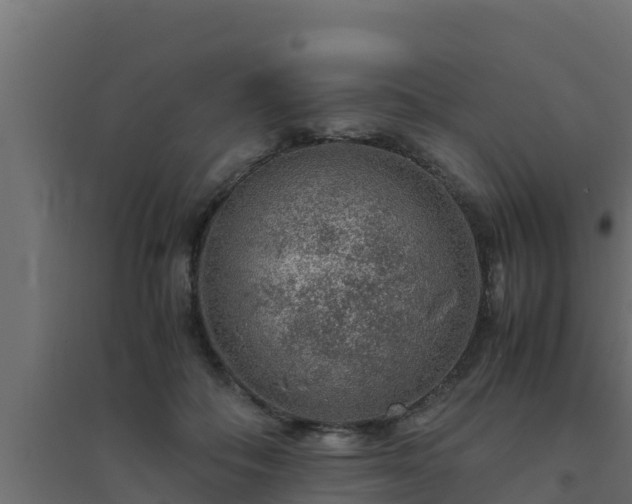 X0000094820506200711241511