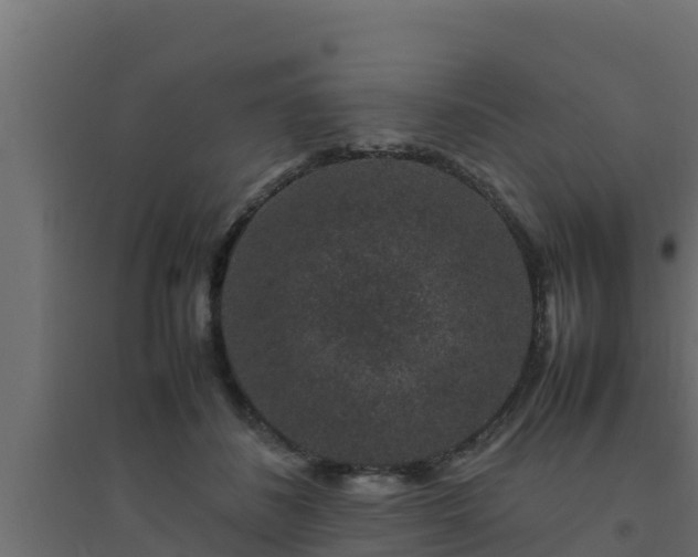 X0000094820508200711241511