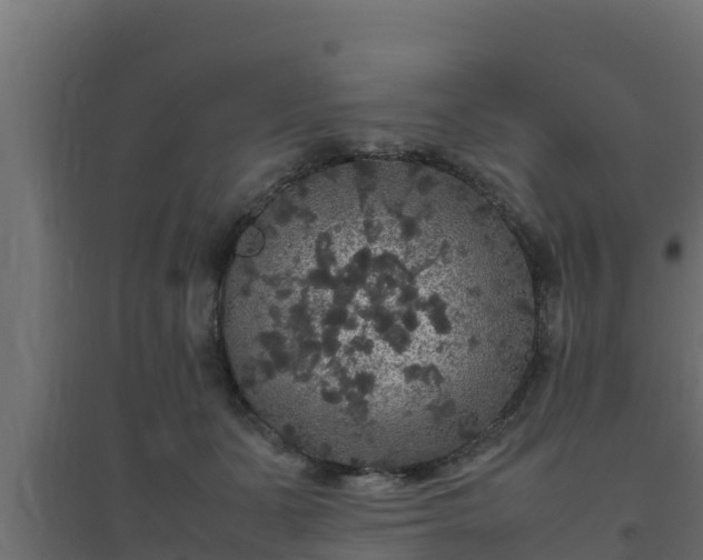 X0000094820511200711241511