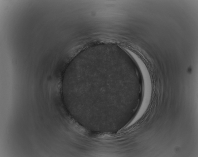 X0000094820513200711241511