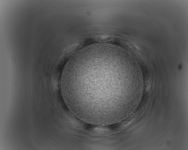 X0000094820515200711241511