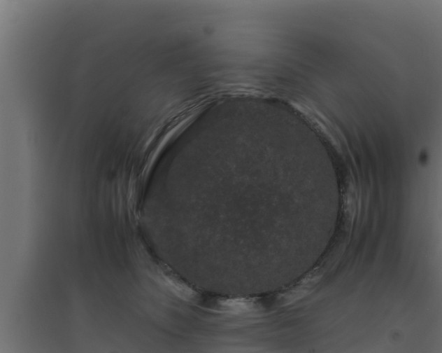 X0000094820516200711241511