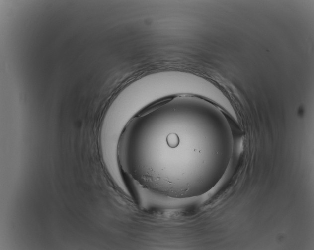 X0000094820517200711241511