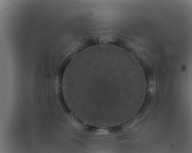 X0000094820519200711241511