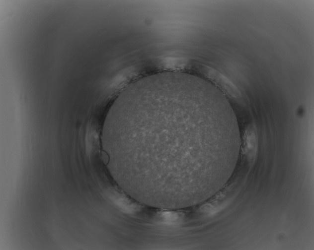 X0000094820522200711241511