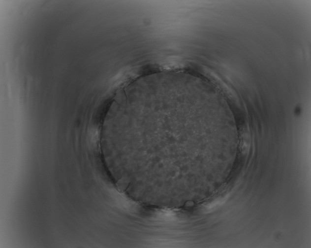 X0000094820523200711241511