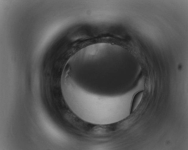 X0000094820526200711241511