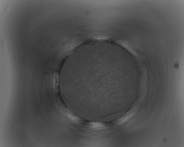 X0000094820528200711241511