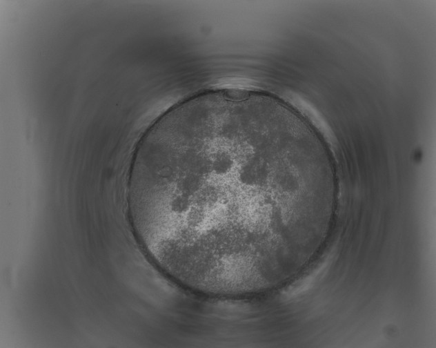 X0000094820529200711241510