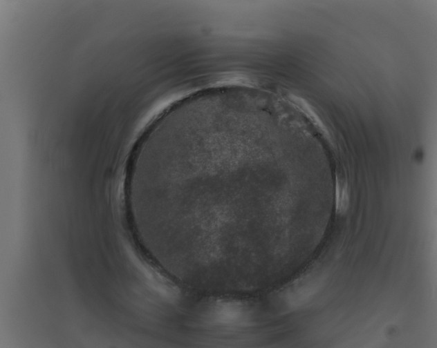 X0000094820531200711241510