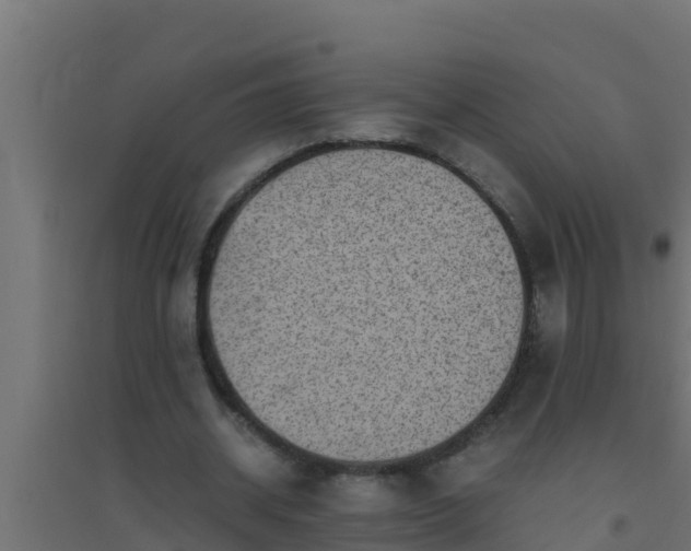 X0000094820534200711241510
