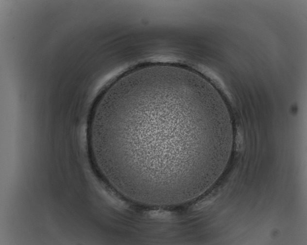 X0000094820535200711241510