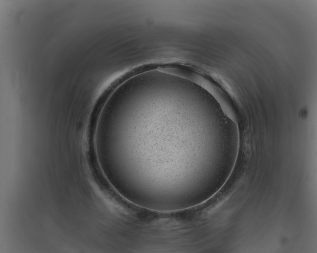 X0000094820536200711241510