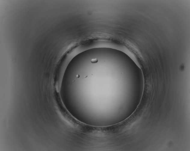 X0000094820538200711241510