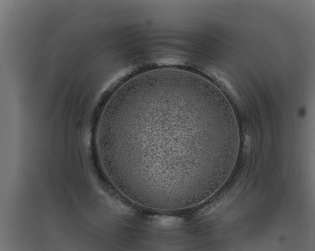 X0000094820539200711241510