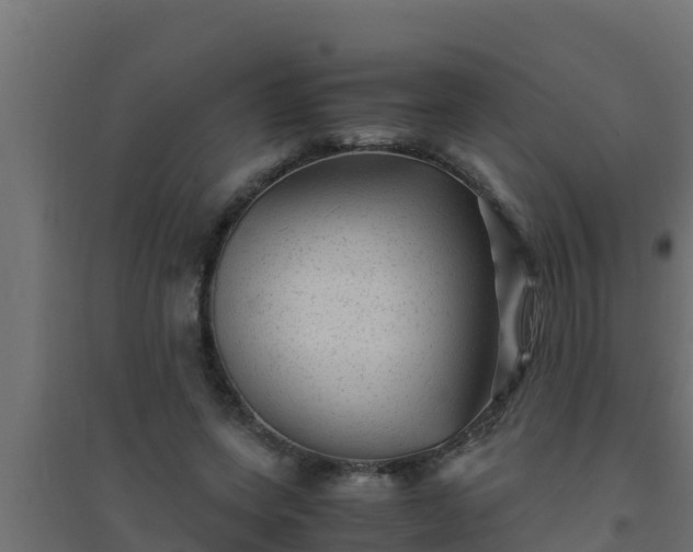 X0000094820543200711241510