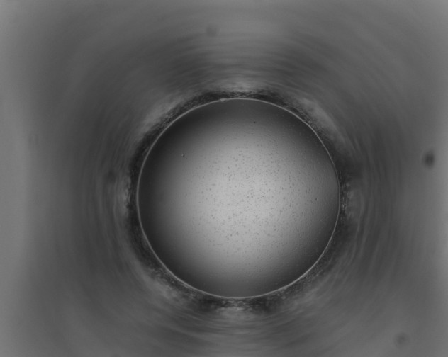 X0000094820544200711241510
