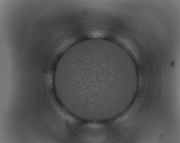 X0000094820545200711241510