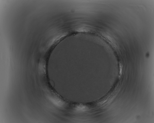 X0000094820547200711241510