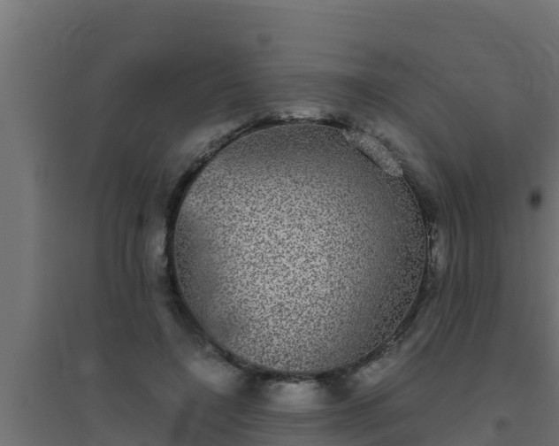 X0000094820548200711241510
