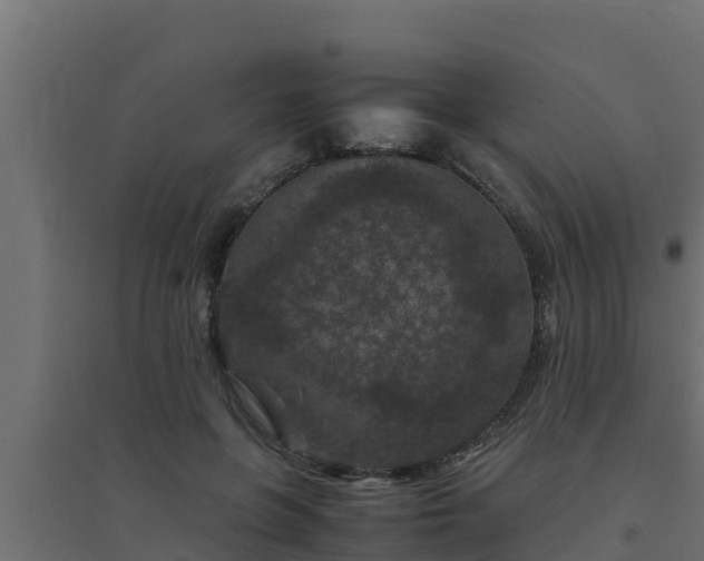 X0000094820551200711241511