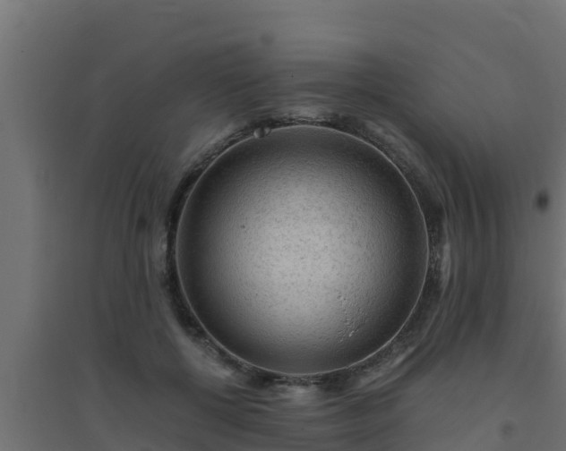 X0000094820552200711241511