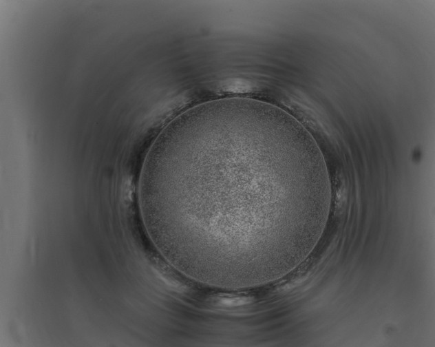 X0000094820555200711241511