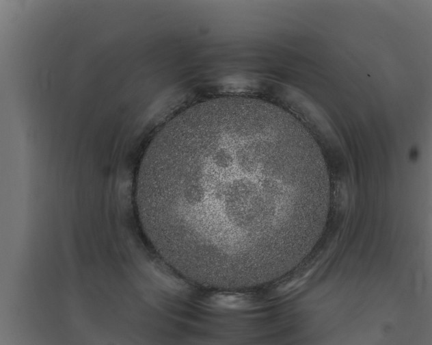 X0000094820557200711241511