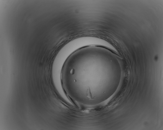 X0000094820558200711241511