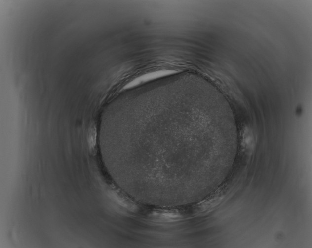 X0000094820559200711241511