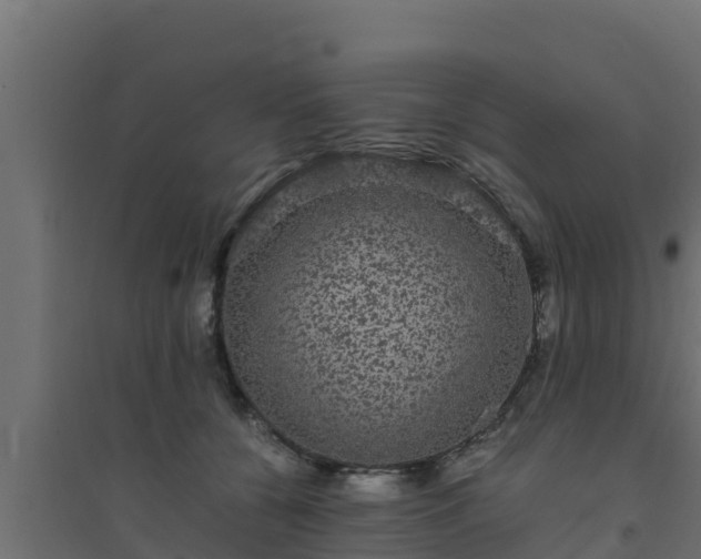 X0000094820560200711241511