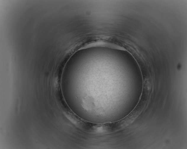 X0000094820564200711241511