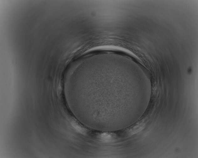 X0000094820566200711241511