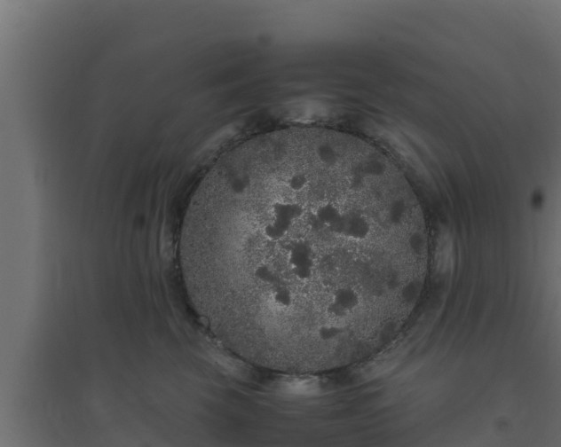 X0000094820569200711241511