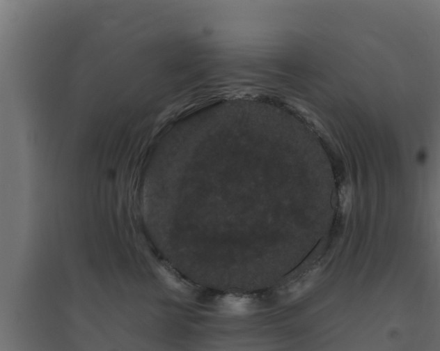 X0000094820570200711241511