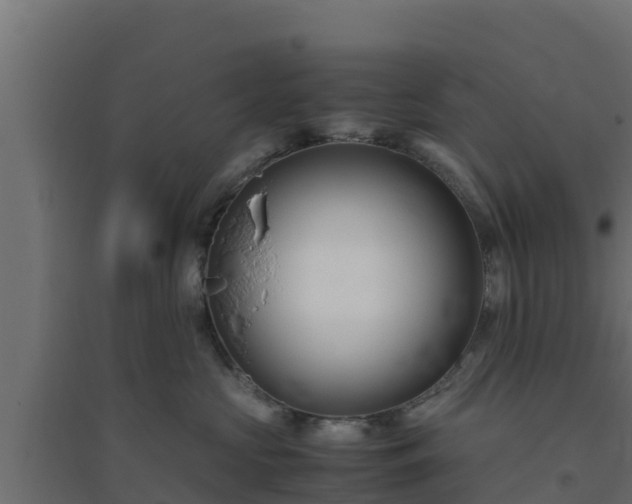 X0000094820573200711241511