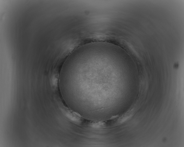 X0000094820576200711241511