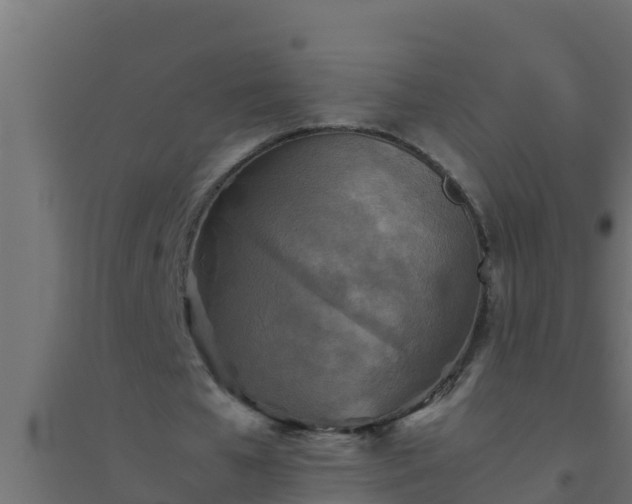 X0000094820577200711241510