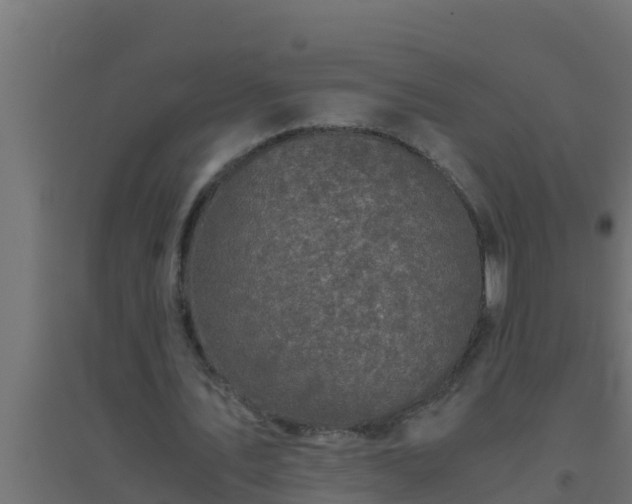 X0000094820579200711241510