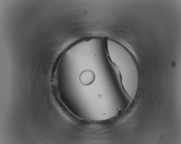 X0000094820581200711241510