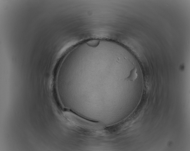 X0000094820583200711241510