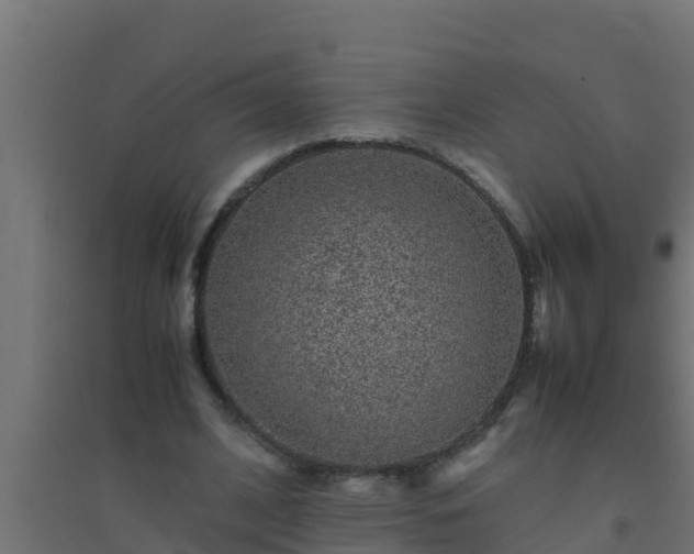 X0000094820584200711241510