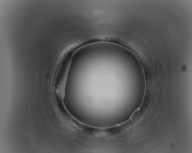 X0000094820587200711241510