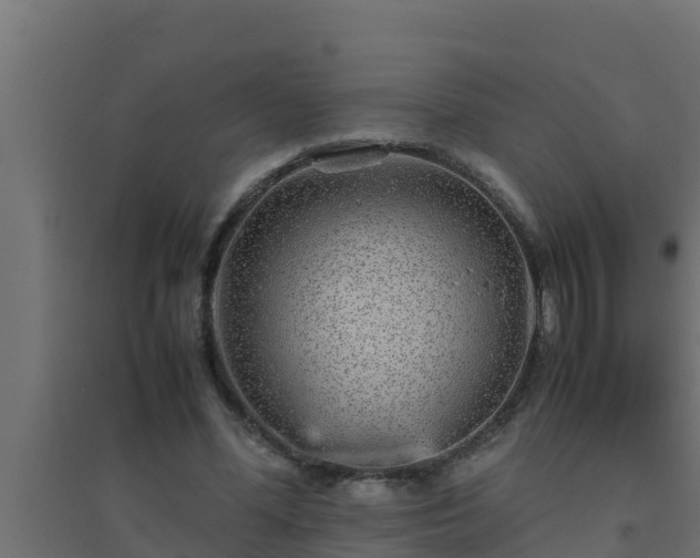 X0000094820588200711241510