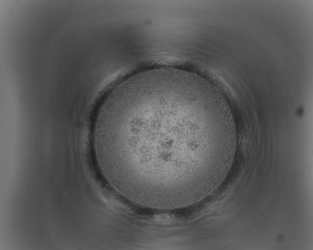 X0000094820591200711241510