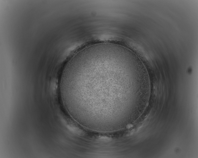X0000094820592200711241510