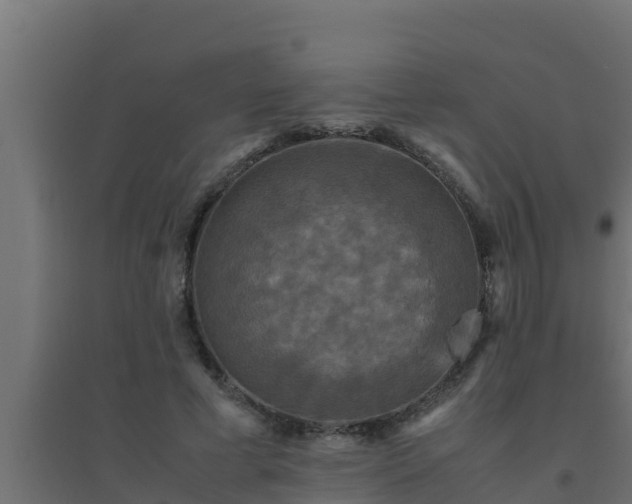X0000094820593200711241510